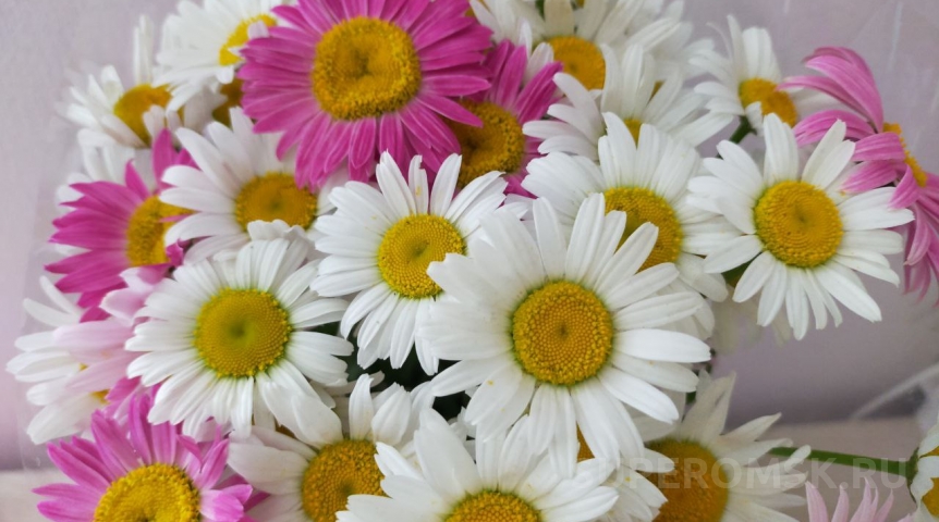 Омичка, участвовавшая в Великой Отечественной войне, отмечает 104-летие