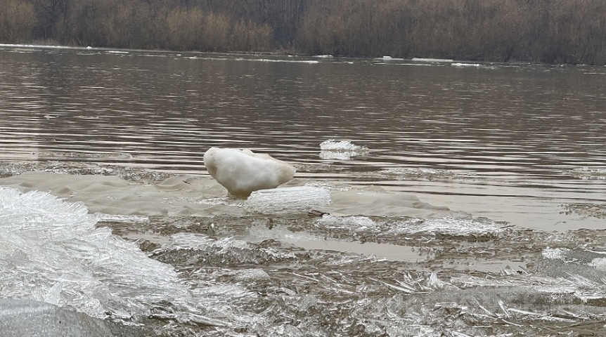 В реках Омской области нашли высокое содержание вредного вещества