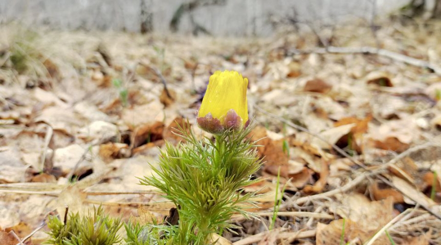 Погода в Омской области вслед за жарой готовит большой сюрприз