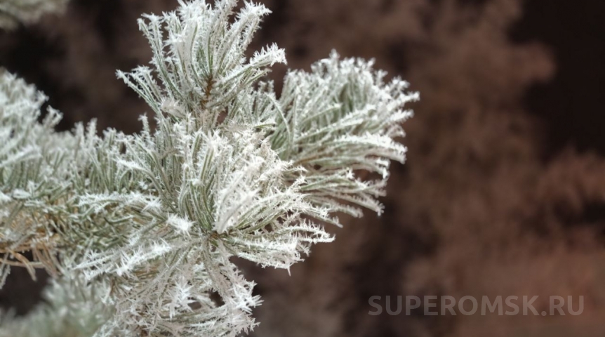 После лютых морозов – долгожданное тепло: когда в Омск придет весна?