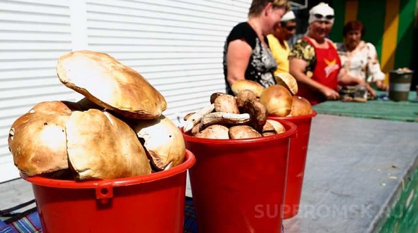 В Омске продают производство ведер с уникальным оборудованием