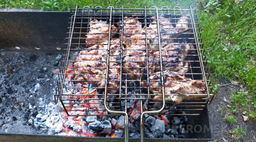 По всей Омской области вступил в силу запрет на жарку шашлыков