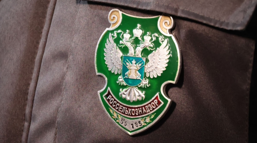 В преддверии жары Омск лишился почти двух тонн мороженого