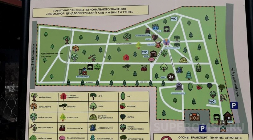 Назван график экскурсий в омском дендросаду