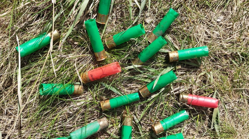 В Омской области добавили район для отстрела кабанов