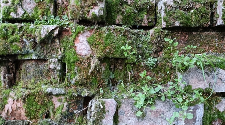 В Советском округе Омска снесут большое здание