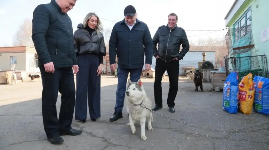 Омские чиновники начали брать собак из муниципального приюта