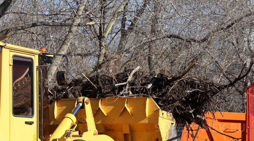 Татары Омска проведут субботник на мусульманском кладбище