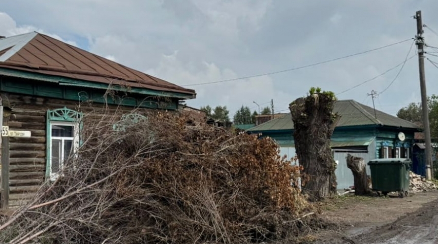 Выбросил ветки в бак – нарушил закон: омичам напомнили правила субботника