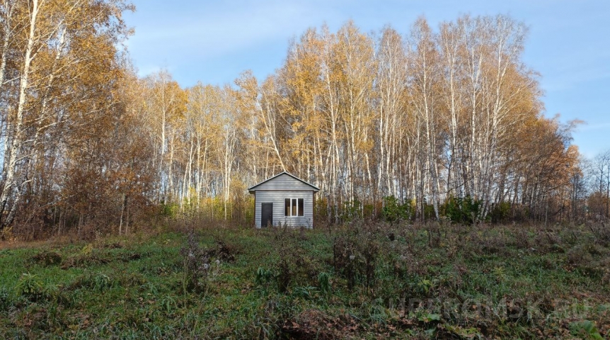 Выложен список частных земель Омской области на госоценку в 2026 году