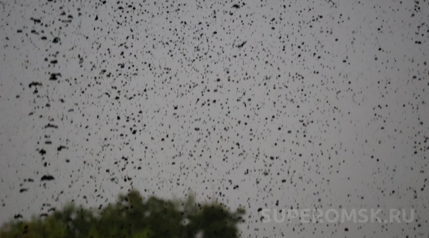 В Омской области пройдет самый сильный на континенте ливень