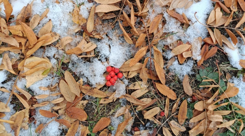 В Омской области пойдет снег