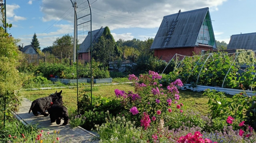 В Омске стартовала продажа билетов для дачников