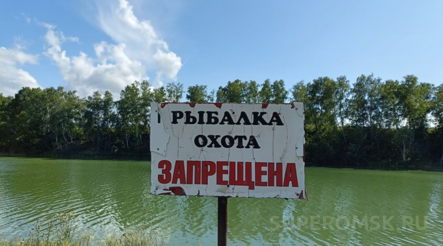 Омич поймал ночного охотника в тайном месте Иртыша