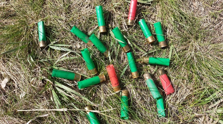 Омским охотникам обозначили разрешенное количество добычи тетерева и глухаря