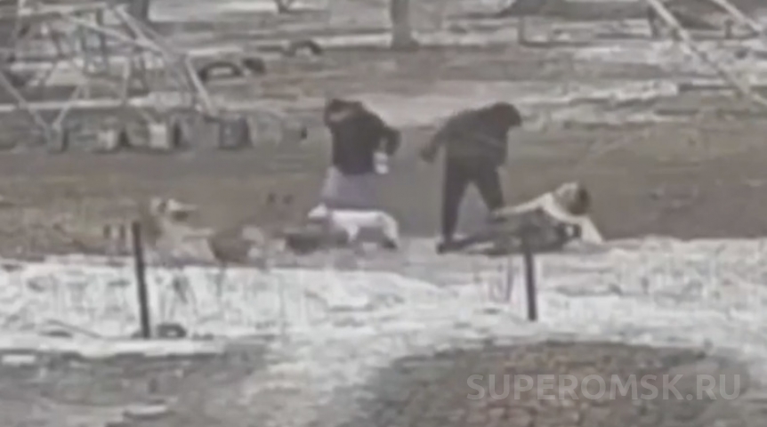 Умерла в обнимку с питомцами: что известно о напавших на омичку-зооволонтера