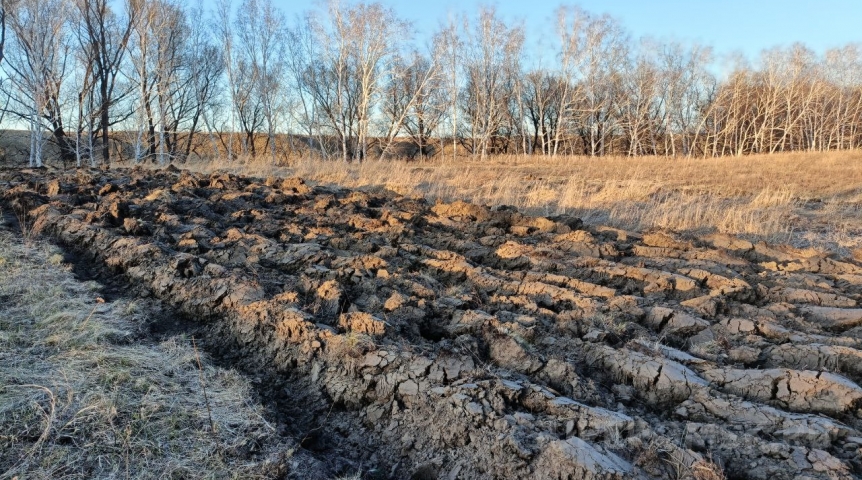 Сезон природных пожаров в Омской области уже начался