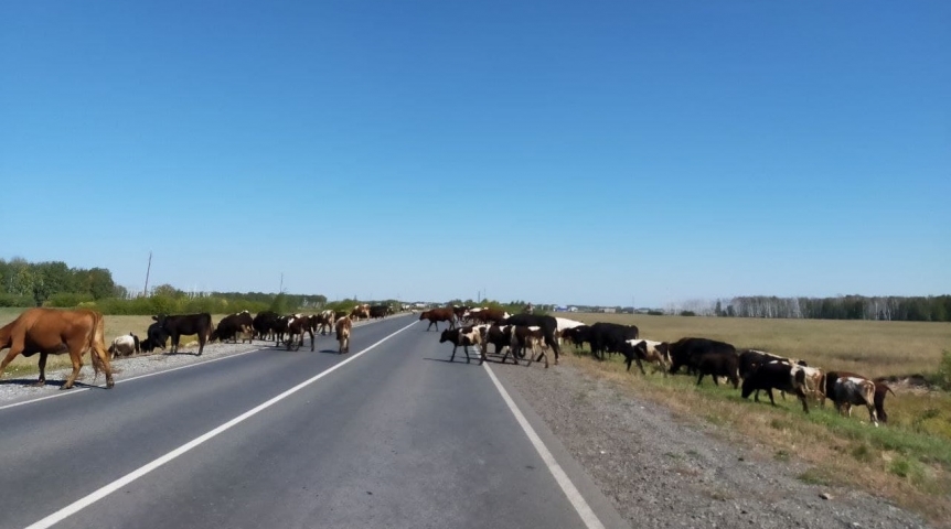 Омским участникам СВО выделят от 3 до 6 млн рублей на развитие хозяйства