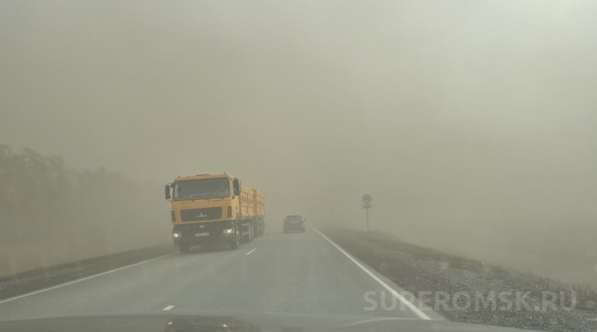 Штормовая пыль и зной: омская погода в стадии перехода