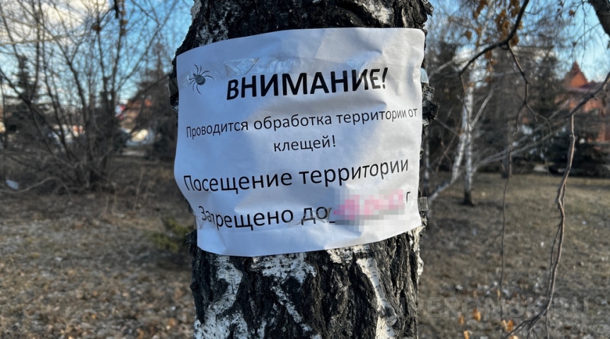 Появился график обработки омских парков от клещей