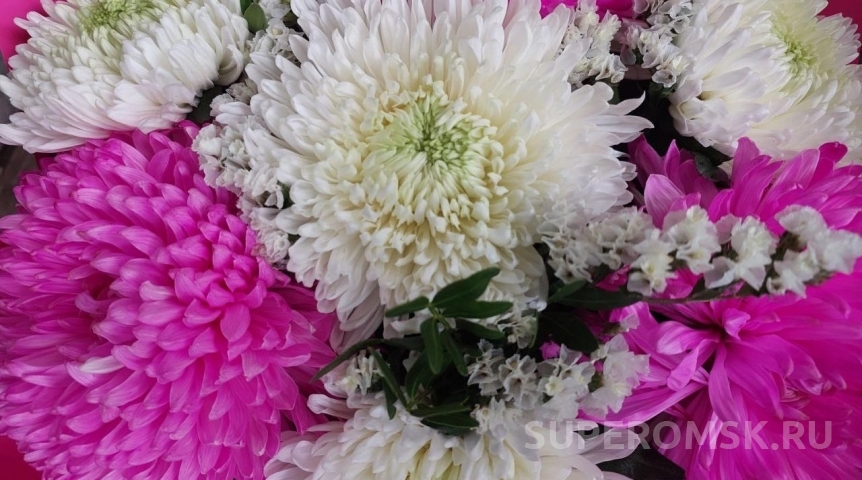 «СуперОмск» поздравляет Елизавету Степкину с юбилеем