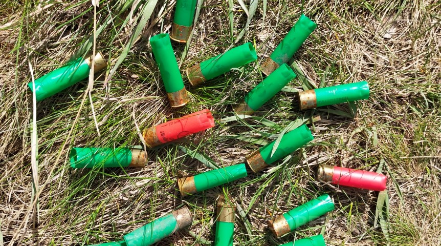Добыча лося теряет популярность у охотников в Омской области