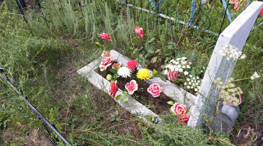 Плату за въезд в омские кладбища назвали необязательной