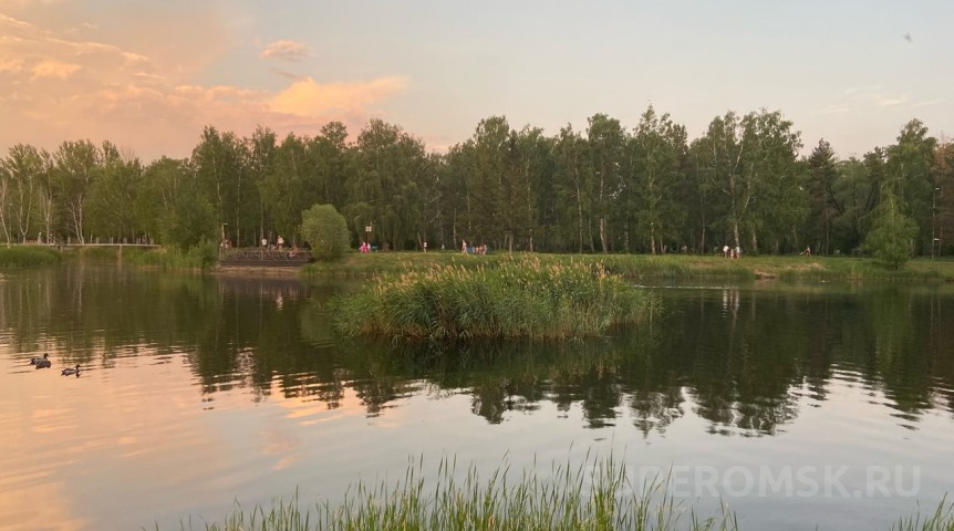 В омском парке отменили борьбу с комарами
