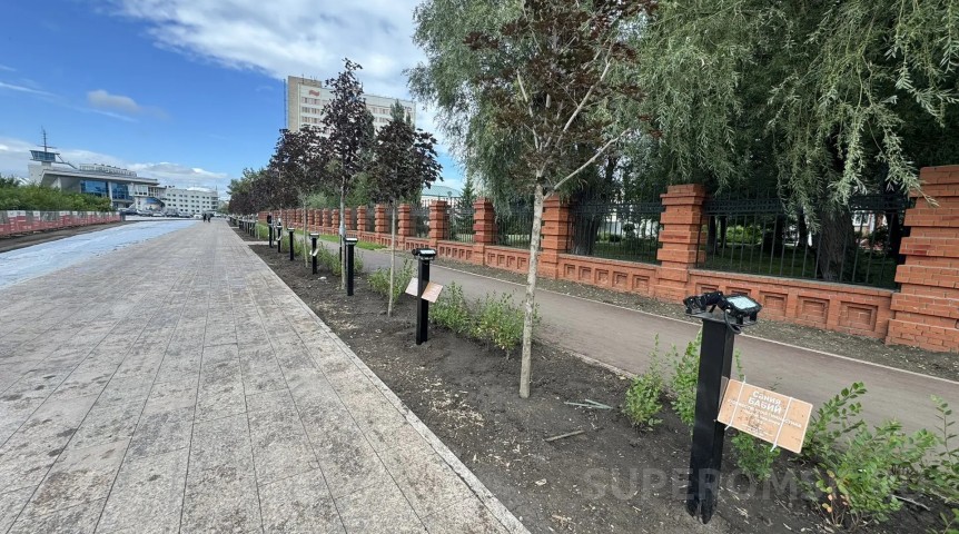 Первая аллея олимпийцев переехала на новую набережную в Омске