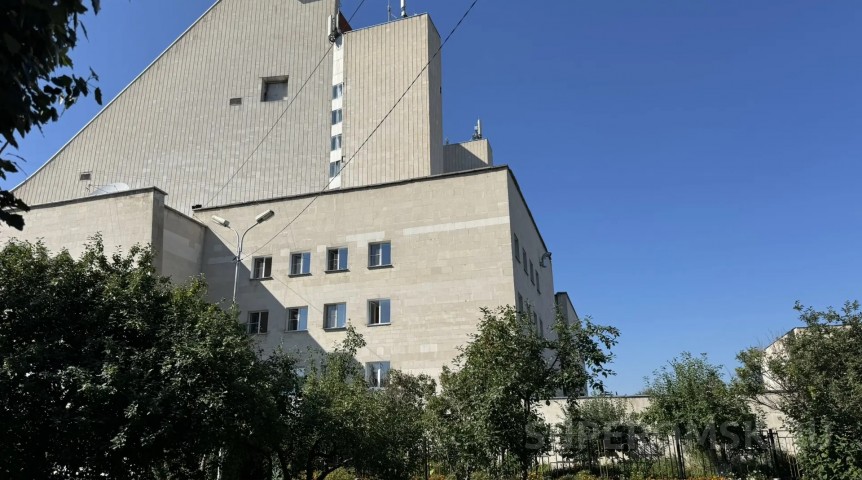 У Музыкального театра в Омске на яблоне появились плоды в разгар лета