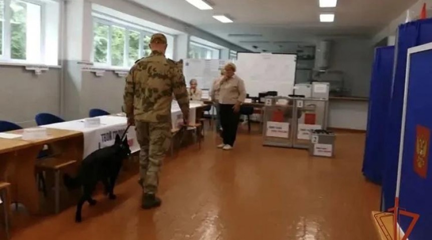 Омские избирательные участки до выборов проверили собаки