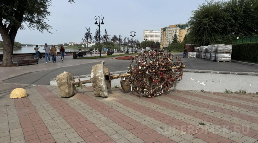 Дерево любви у «Сенкевича» демонтировали: что с ним будет дальше?