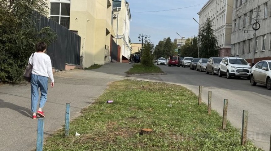 В Омске начали снос деревьев ради парковки на Чкалова