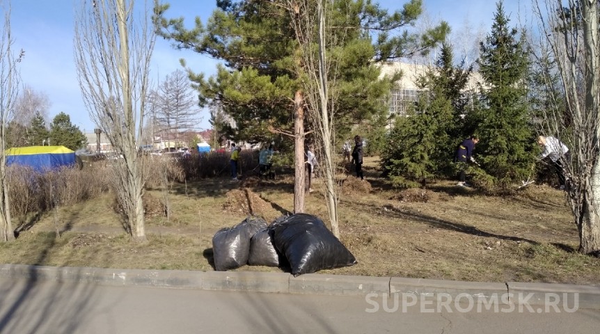 Шелест назвал дату общегородского субботника в Омске