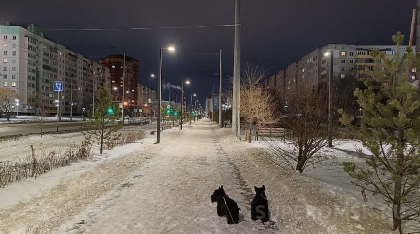 В Омской области спрогнозировали дату первого снега
