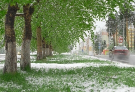«Лето кончилось»: в Омске снова выпадет снег