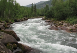 В Красноярском крае ищут утонувшую в горной реке омичку