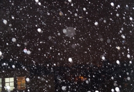 Возле Омской области закружили снегопады