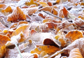 Синоптики спрогнозировали в Омской области похолодание до -10 °С