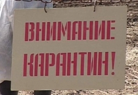 В Омской области ввели карантин из-за опасной и заразной инфекции