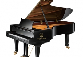 Омский колледж культуры купил рояль из Китая за 3 миллиона рублей