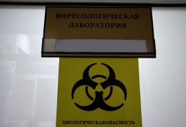 В Омской области выписали меньше пациентов с коронавирусом, чем заявили федеральные власти