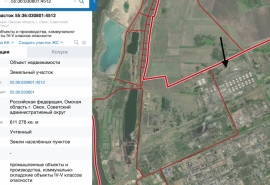 Глава омской археологической компании оценил возможность поработать на землях под будущим заводом игольчатого кокса