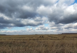 У «Ленты» в Нефтяниках Омска на аукцион выставят землю под экономжилье