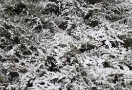 В Омской области ударит минусовая температура