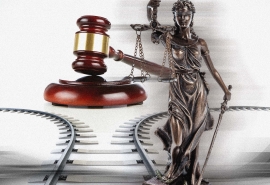 В Омске власти отобрали землю у компании по утилизации биологических отходов