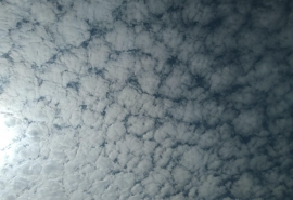 Названы сроки возвращения жары в Омскую область