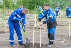 Сотрудники Омского НПЗ высадили несколько сотен саженцев деревьев