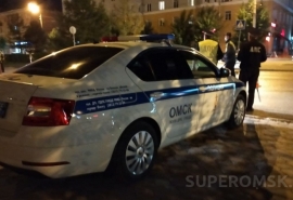 Омской полиции пришлось на трассе надевать наручники на буйного нетрезвого водителя