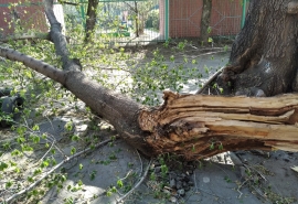 На выходные Омскую область посетит тревожное погодное явление